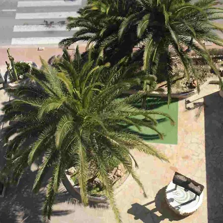 Apartamento Florida Ii *